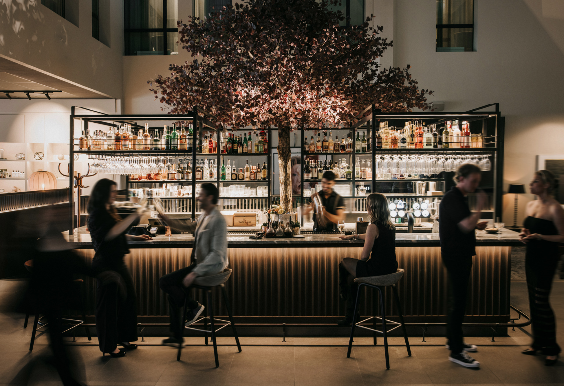 20240404_SJP_26164_webb kopiera.jpg