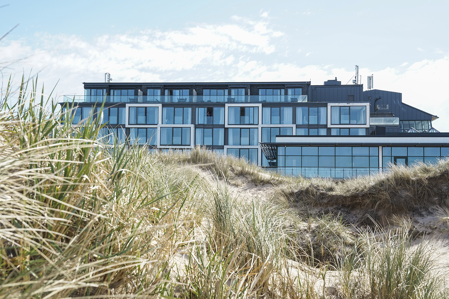 HT_vy_lowres.jpg (2)